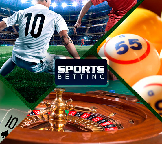 Exploring the Exciting World of Rara Bet 15