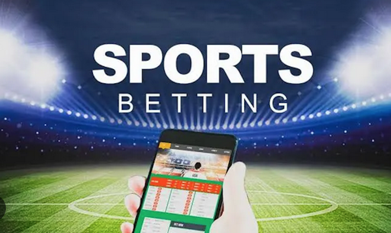 The Rising Popularity of Dafa Bet in Online Gambling